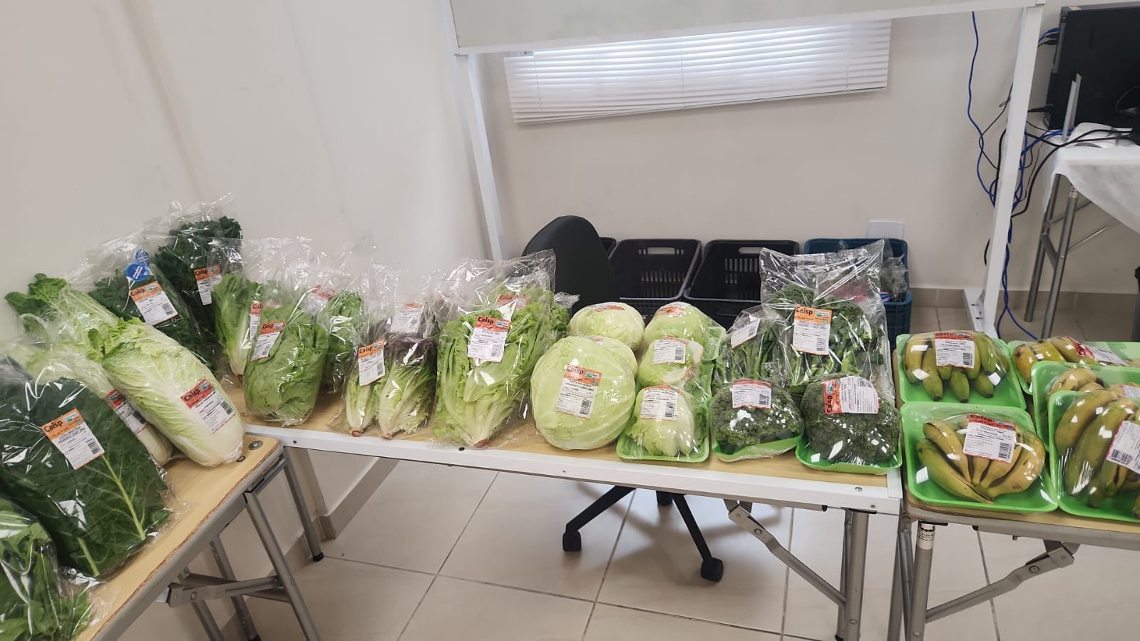 Verduras e folhosos orgânicos embalados na feira da Lattuga